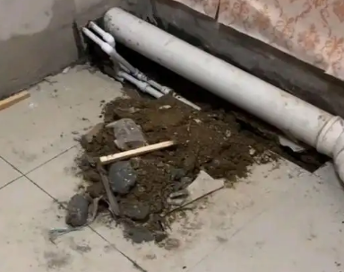 嵊泗卫生间漏水检测哪家好